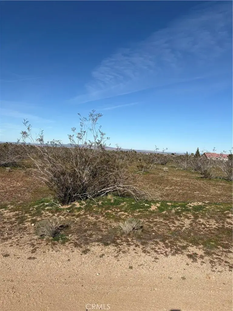 0 Olivine, Phelan, CA 92371 - #1