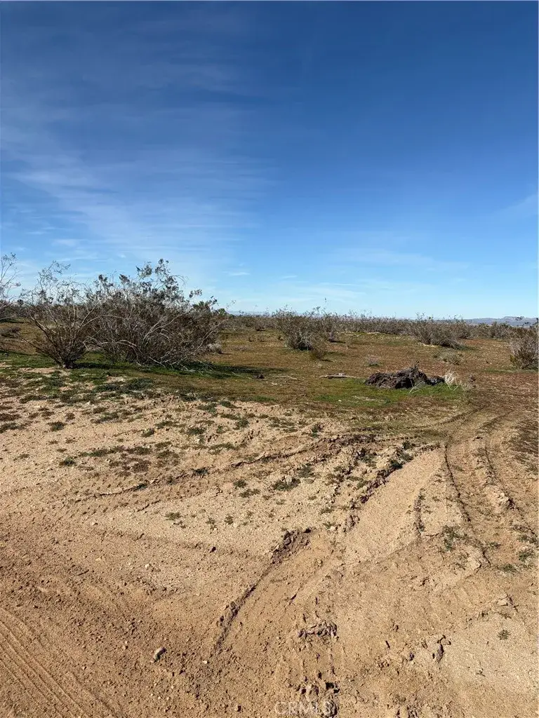 0 Olivine, Phelan, CA 92371 - #2