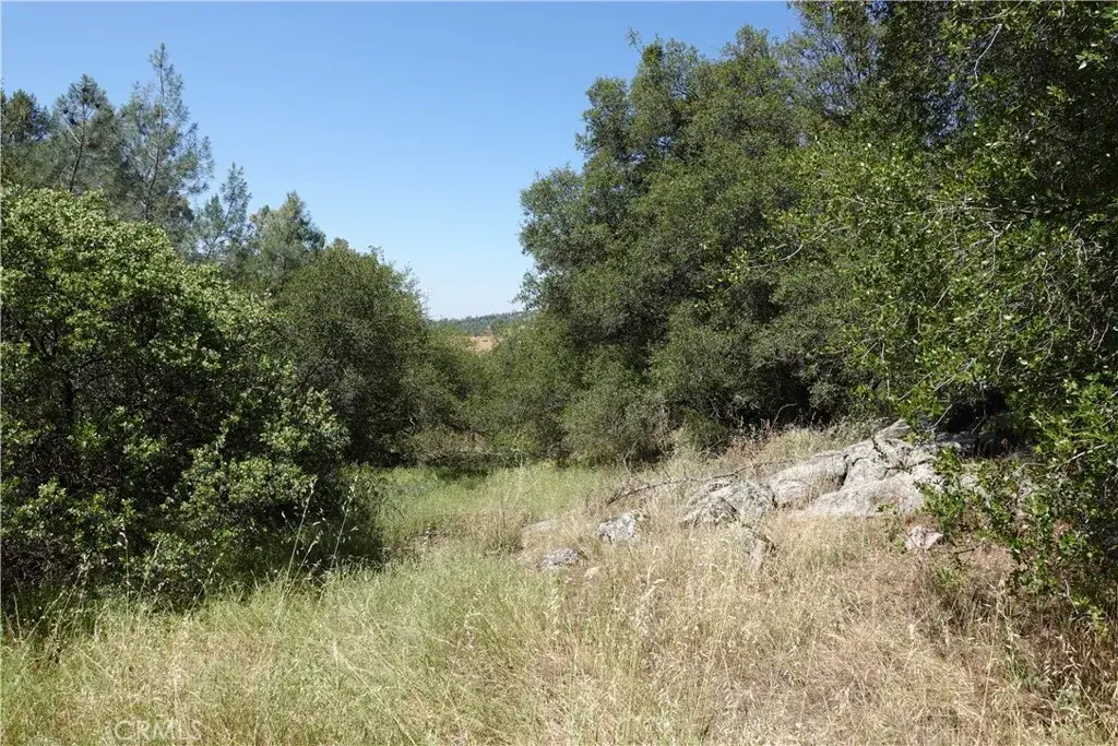 0 Running Deer Way, Coarsegold, CA 93614 - #1