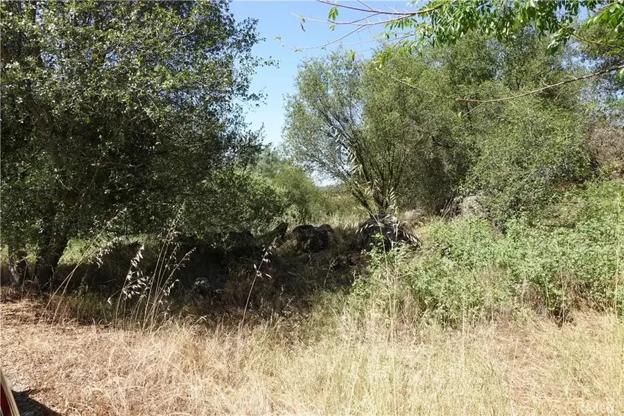 0 Running Deer Way, Coarsegold, CA 93614 - #2