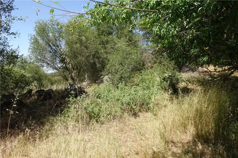 0 Running Deer Way, Coarsegold, CA 93614 - #3