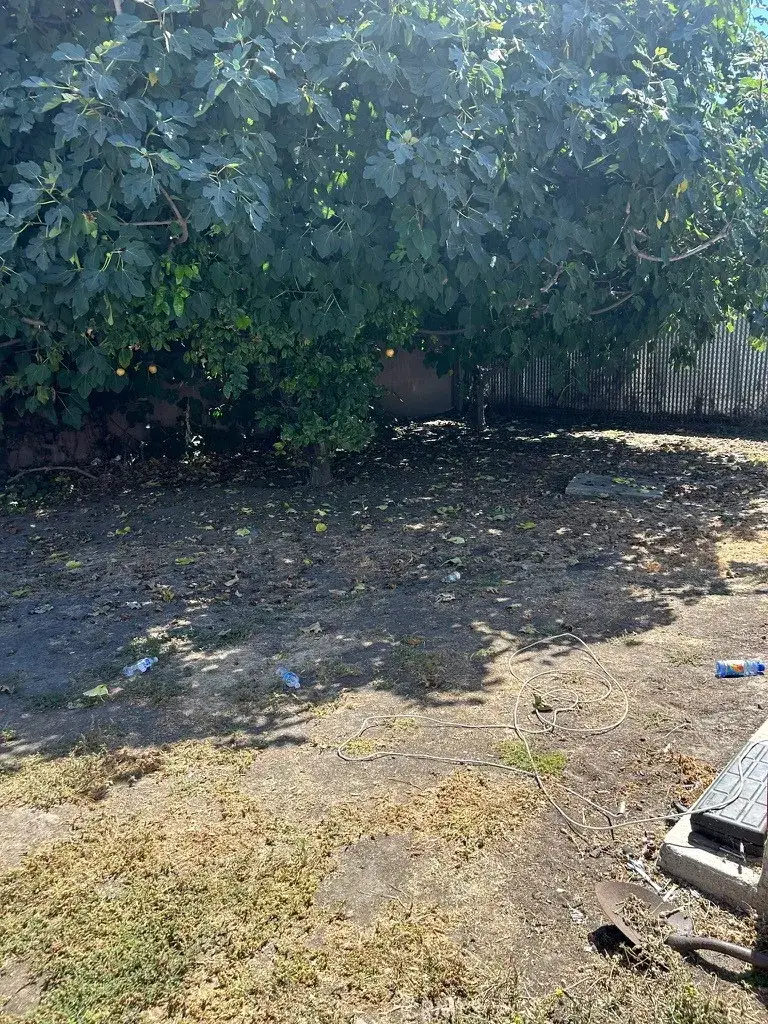 164 W 85th Place, Los Angeles, CA 90003 - #3
