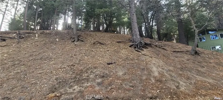 #3