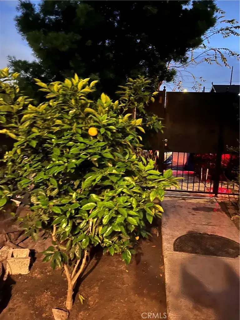 841 W 58th, Los Angeles, CA 90037 - Image #3