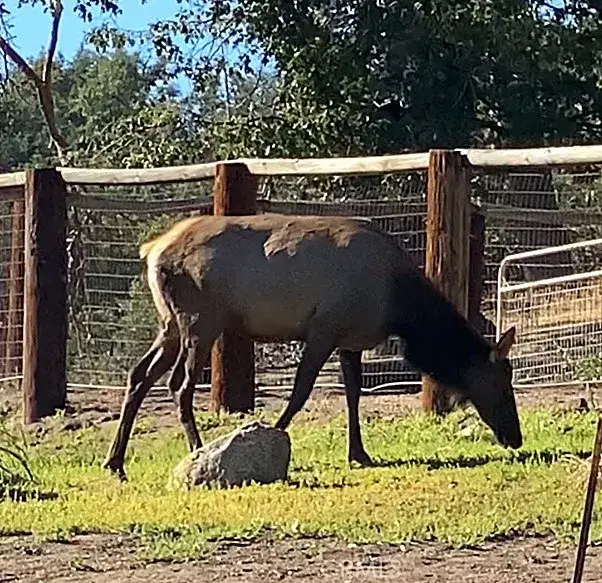 29580 Starland, Tehachapi, CA 93561 - #3