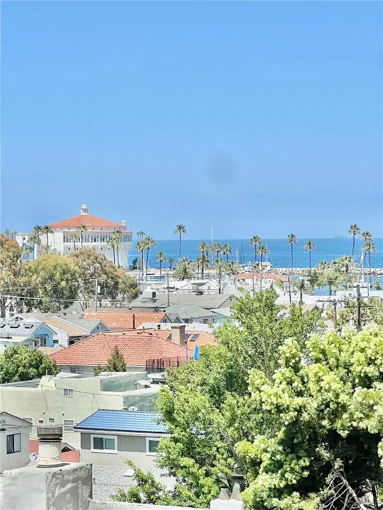 350 Clemente #43, Avalon, CA 90704 - #1
