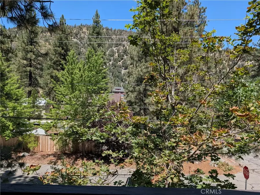 1587 Ross, Wrightwood, CA 92397 - #3