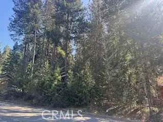 4 Lot 5 Mountain Estates Subdivision, Dunsmuir, CA 96025 - #3