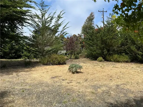 0 Burton, Cambria, CA 93428