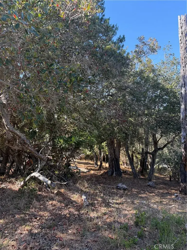 0 Melrose, Cambria, CA 93428 - #1