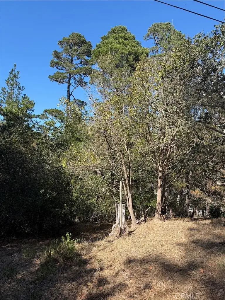 0 Melrose, Cambria, CA 93428 - #2