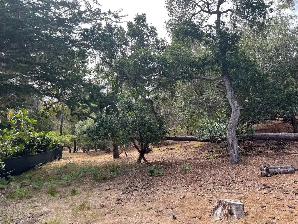 1280 Warren, Cambria, CA 93428 - #1