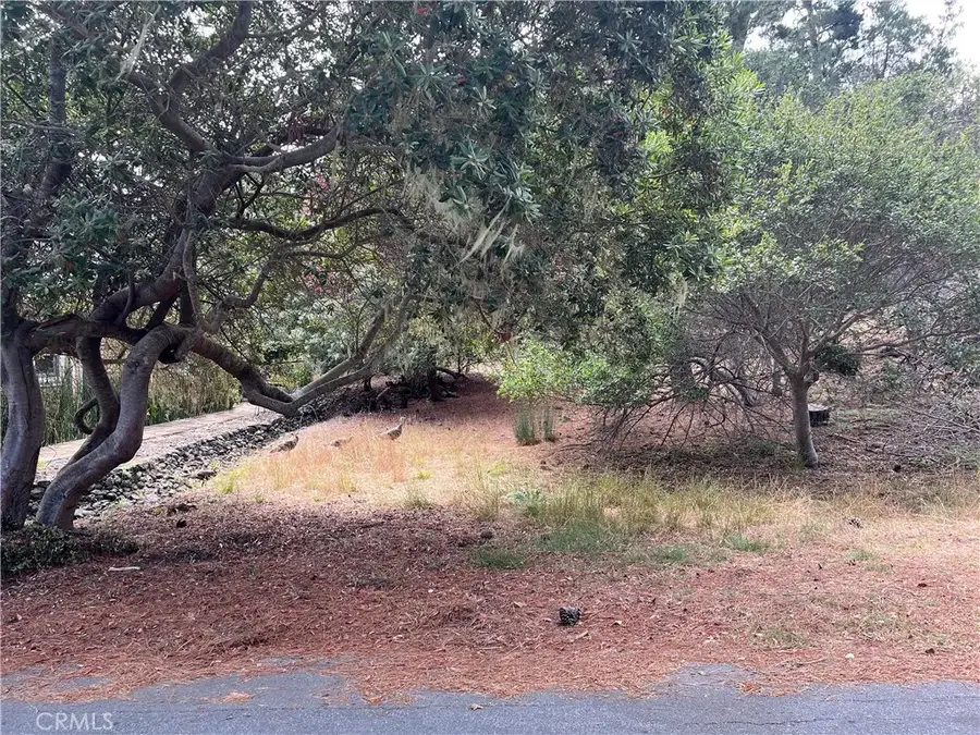 1280 Warren, Cambria, CA 93428 - #3
