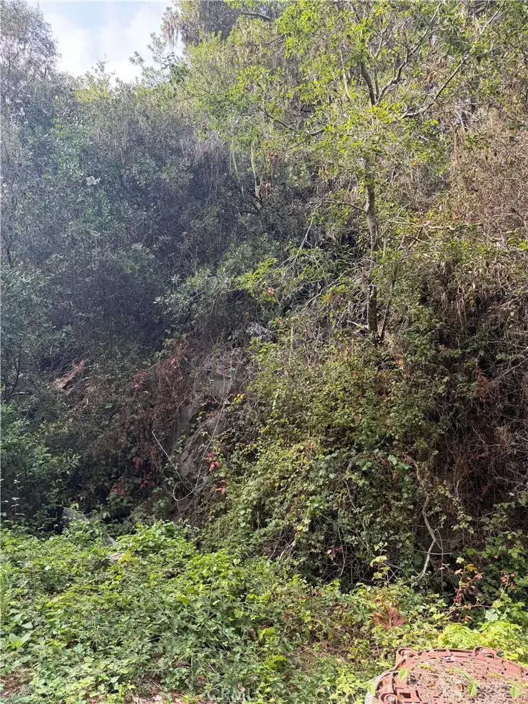 0 Sheffield Street, Cambria, CA 93428 - #1