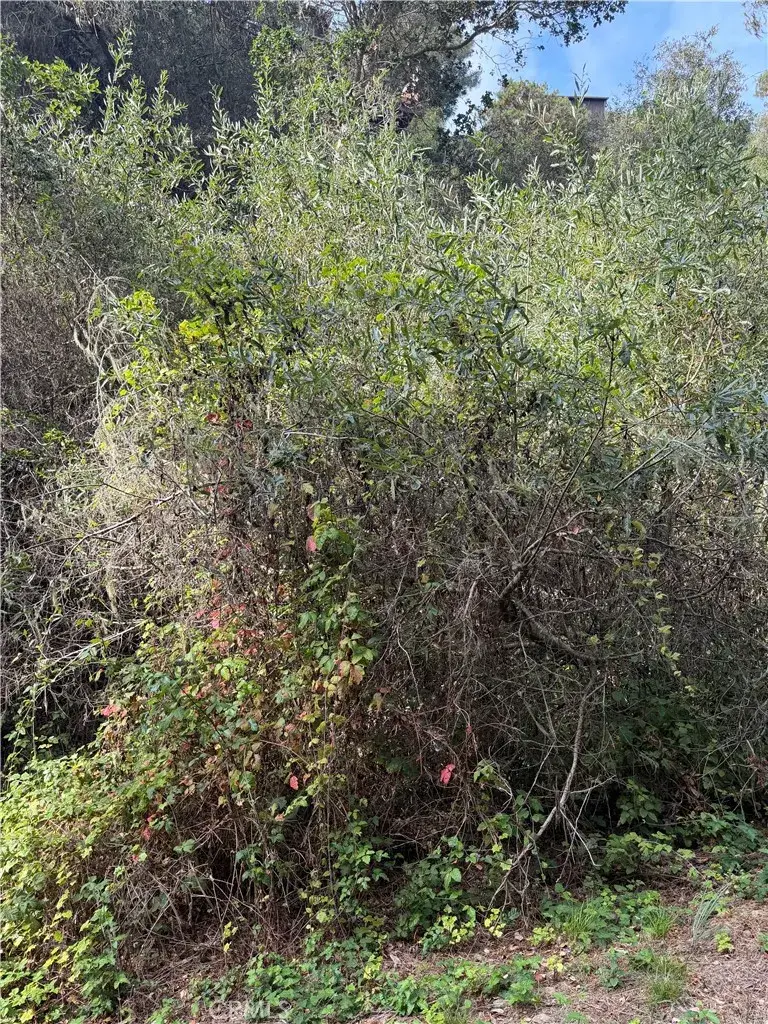 0 Sheffield Street, Cambria, CA 93428 - #2
