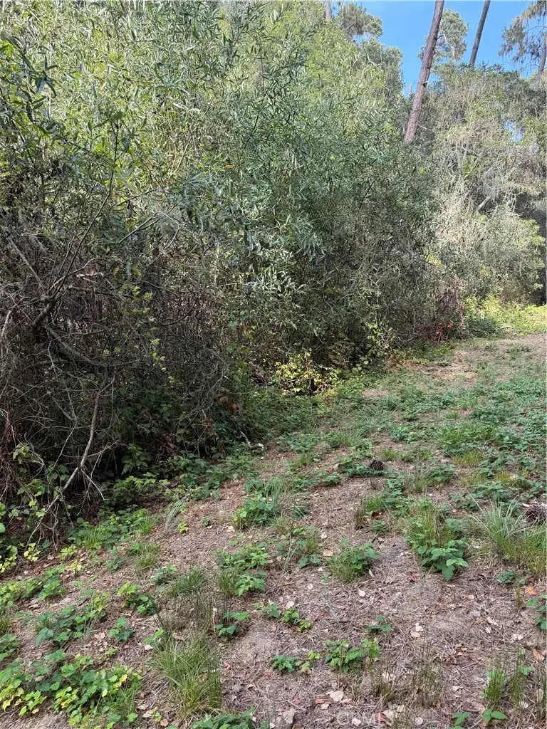 0 Sheffield Street, Cambria, CA 93428 - #3