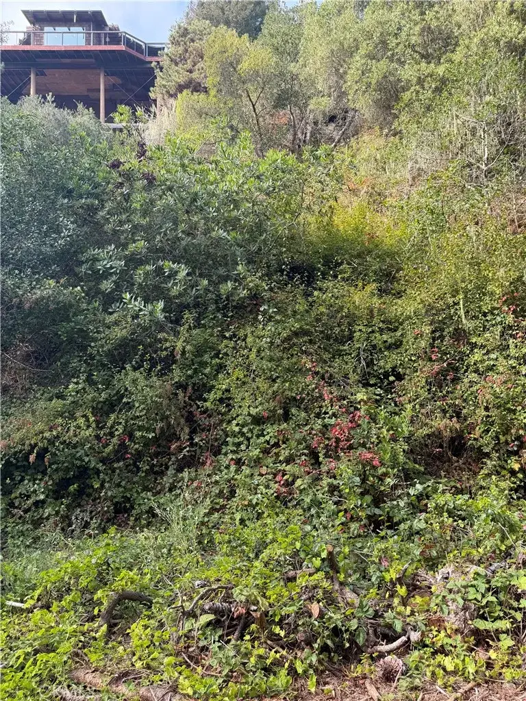 0 Sheffield, Cambria, CA 93428 - #1