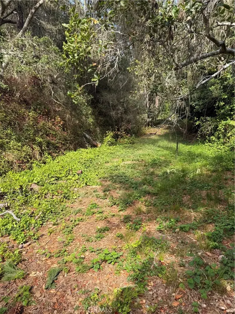 0 Sheffield, Cambria, CA 93428 - #3