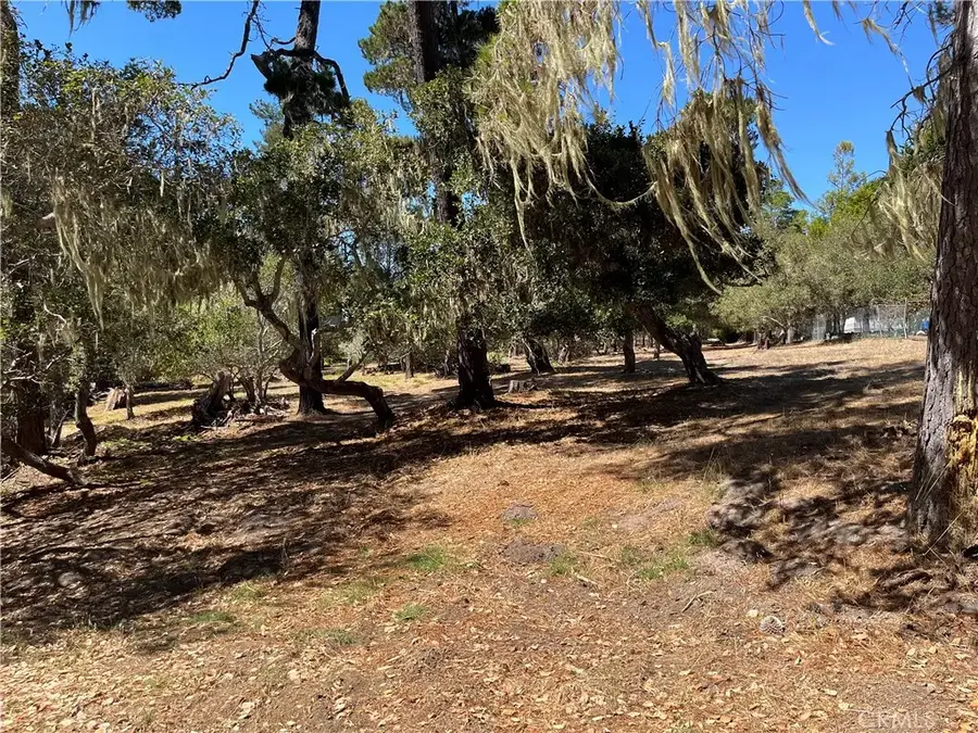 34 Kenneth, Cambria, CA 93428 - #3