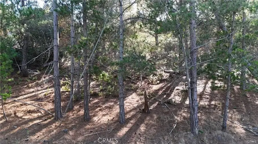 1955 Avon, Cambria, CA 93428 - #2