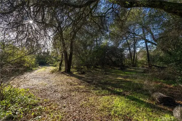 351 Oakvale Avenue, Oroville, CA 95966