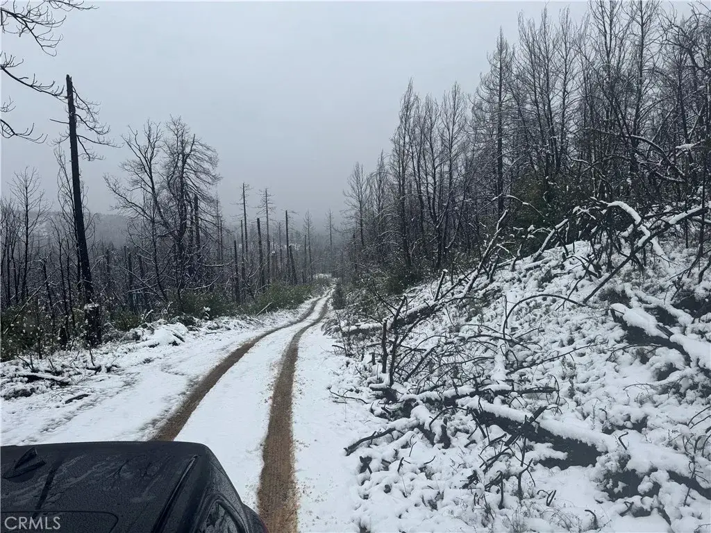 111 Seminole, Berry Creek, CA 95916 - Image #1