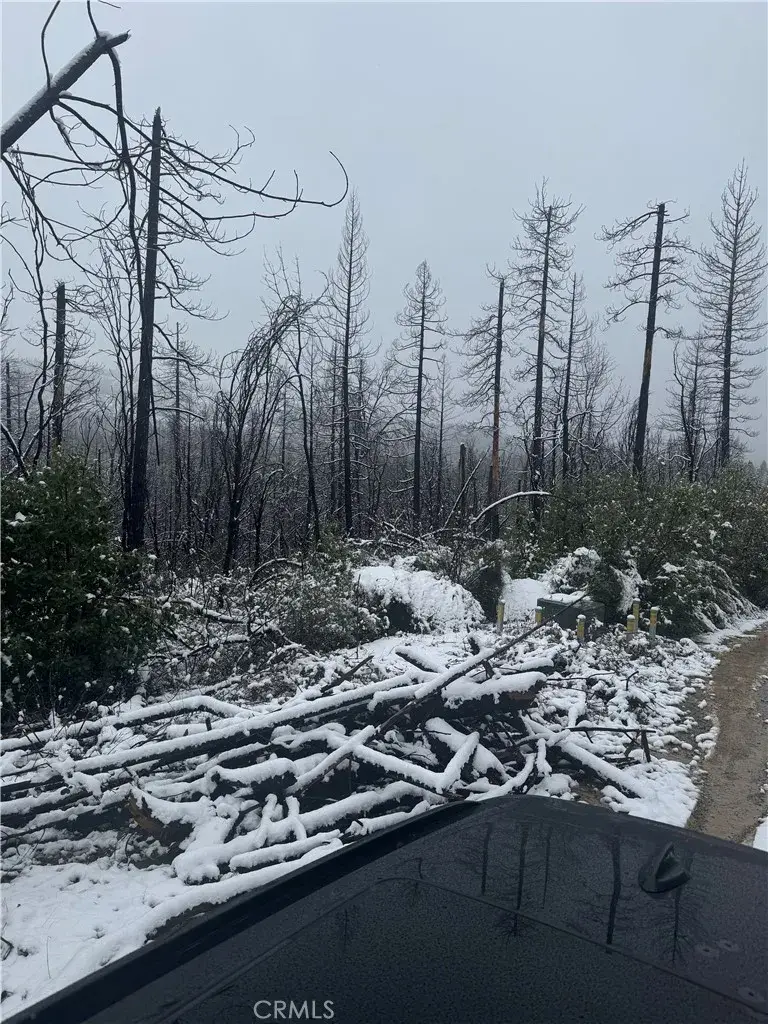 111 Seminole, Berry Creek, CA 95916 - Image #3