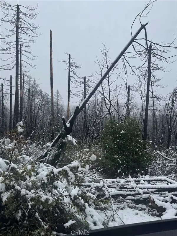 0 Seminole, Berry Creek, CA 95916