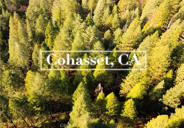 10 Roz Ln, Cohasset, CA 95973