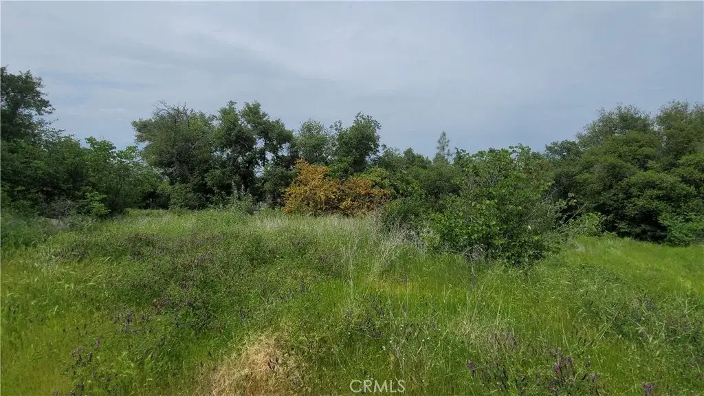 27048 Lack Creek, Shingletown, CA 96088 - Image #1