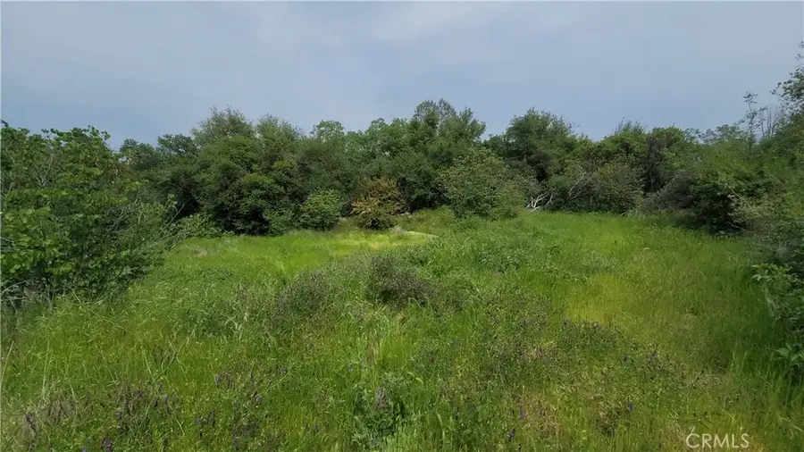 27048 Lack Creek, Shingletown, CA 96088 - Image #2