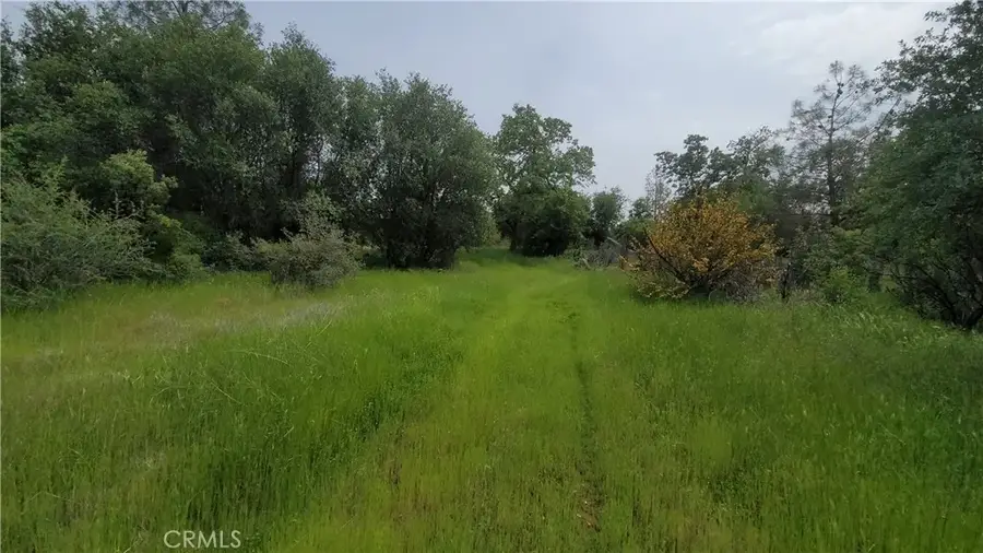 27048 Lack Creek, Shingletown, CA 96088 - Image #3