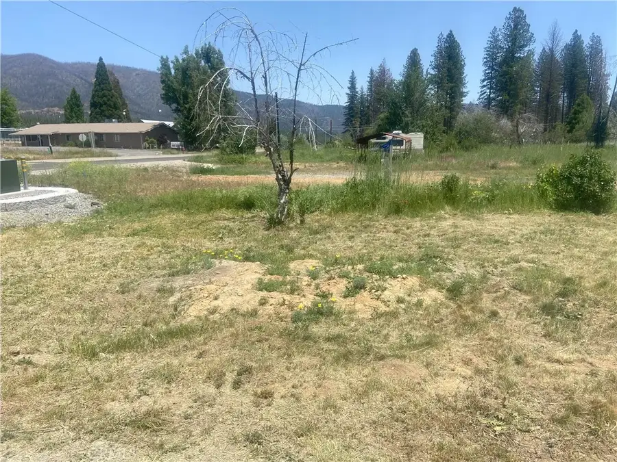 169 Hot Springs, Greenville, CA 95947 - Image #2