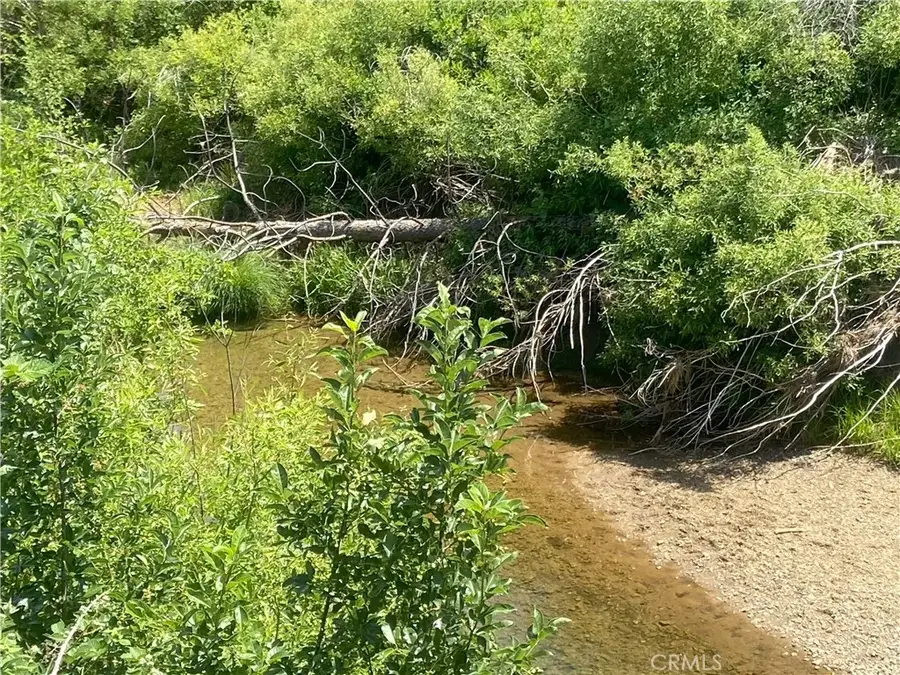 169 Hot Springs, Greenville, CA 95947 - Image #3