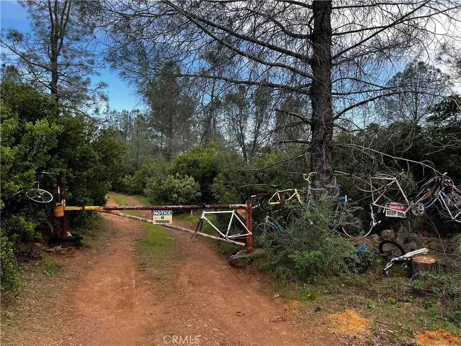 0 Donkey Mine, Oak Run, CA 96069 - Image #2