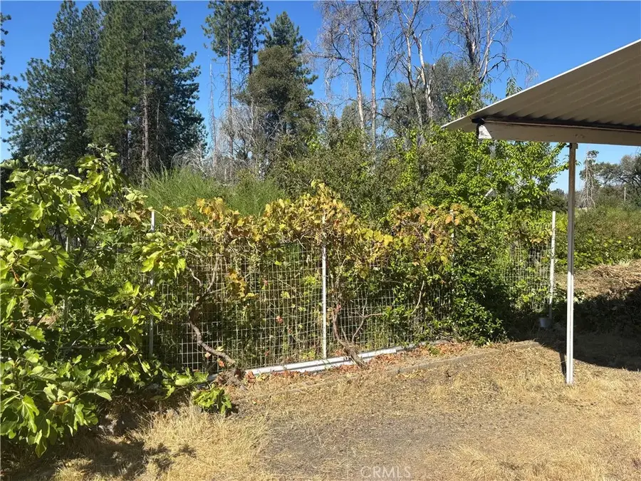 1996 Bald Rock, Berry Creek, CA 95916 - Image #3