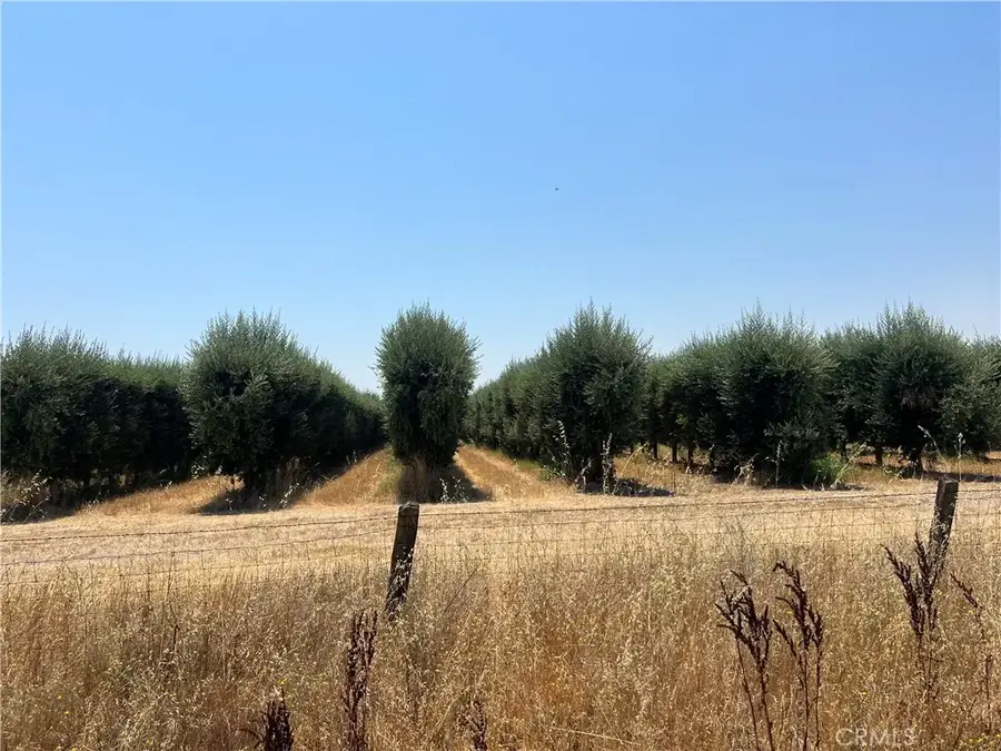 0 County Road D, Orland, CA 95963 - Image #2