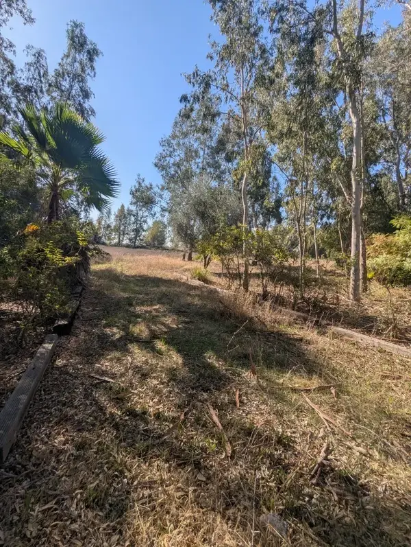 0 County Road 48, Willows, CA 95988