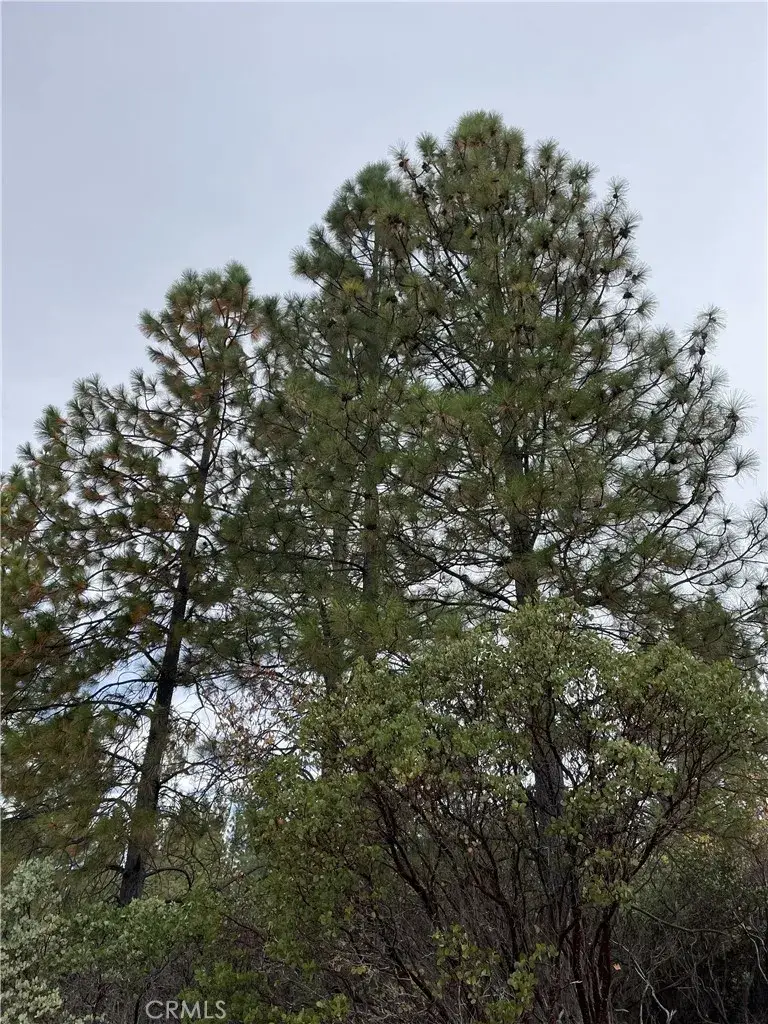 0 Fitzgerald, Forest Ranch, CA 95942 - Image #1