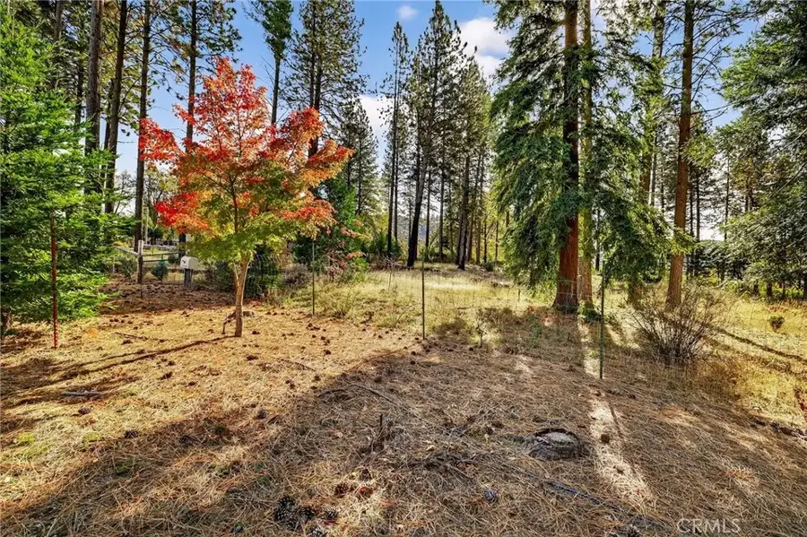 4120 Jack Dale, Oroville, CA 95965 - Image #3