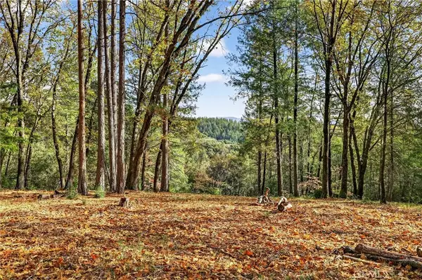 0 Burgundy, Forest Ranch, CA 95942