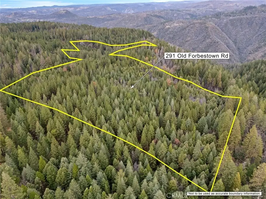 0 Old Forbestown, Forbestown, CA 95941 - Image #2