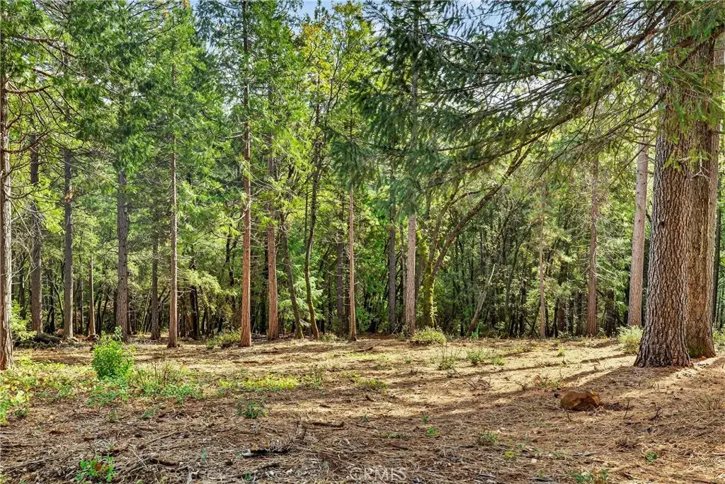 0 Cedar Creek, Forest Ranch, CA 95942 - Image #1