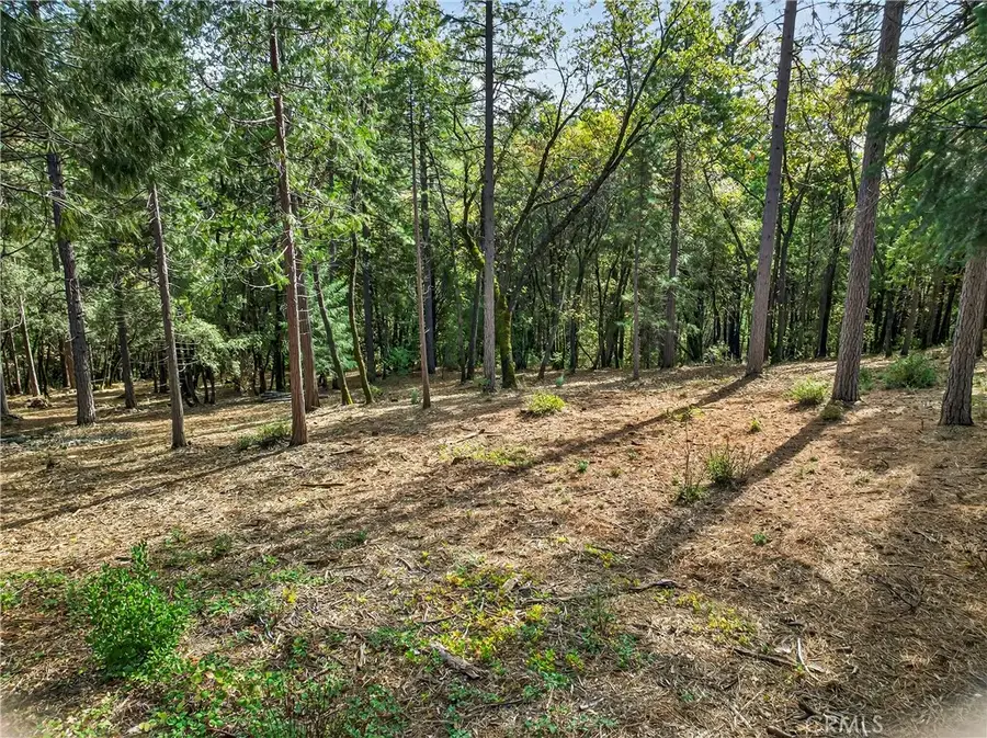 0 Cedar Creek, Forest Ranch, CA 95942 - Image #2