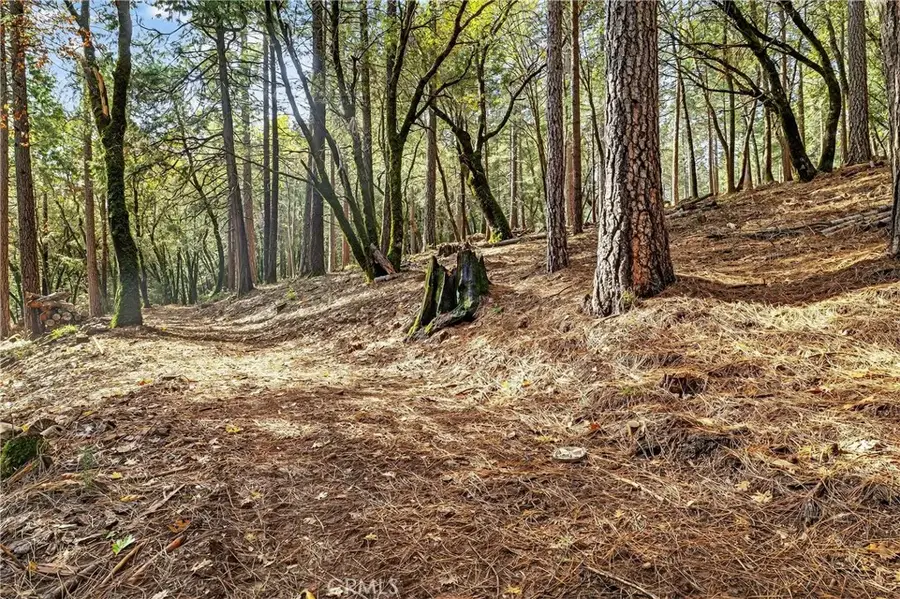 0 Cedar Creek, Forest Ranch, CA 95942 - Image #3