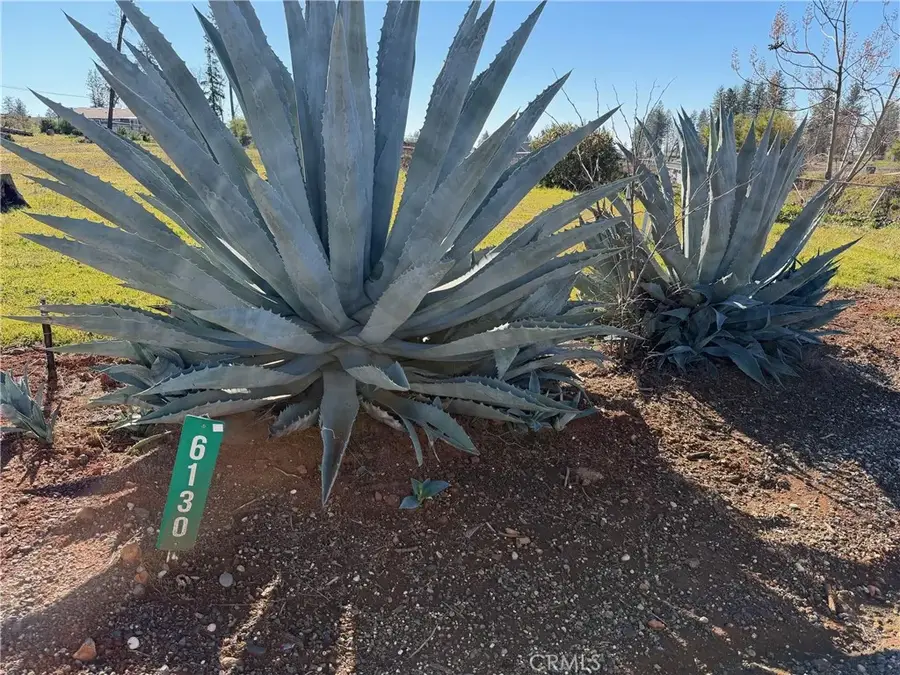 6130 Greenwood, Paradise, CA 95969 - Image #3