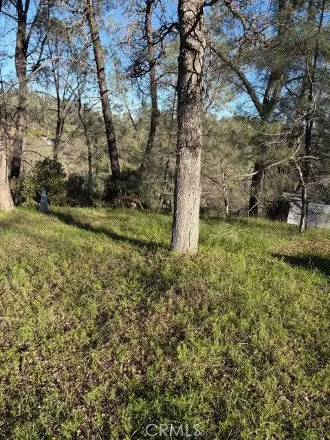 7098 Corral, Corning, CA 96021 - #3