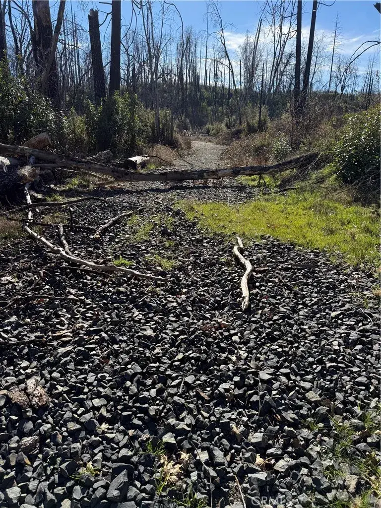 0 Inalane, Berry Creek, CA 95916 - #2