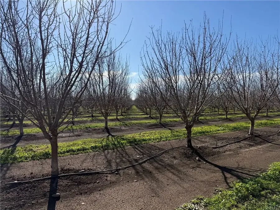 14693 Hamilton Nord Cana, Chico, CA 95973 - #3