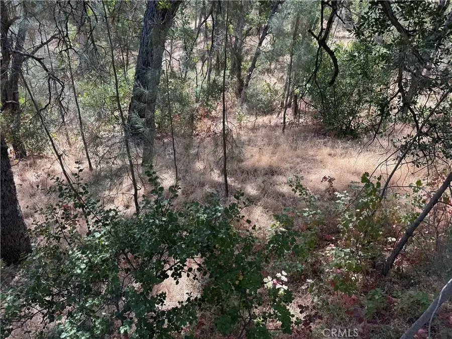 16305 Hillcrest, Corning, CA 96021 - #2